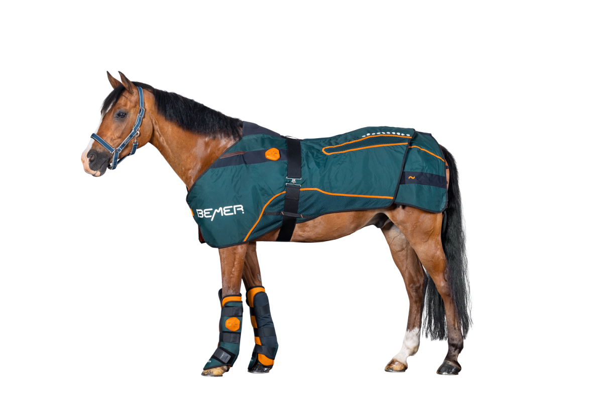 BEMER Horse-Set