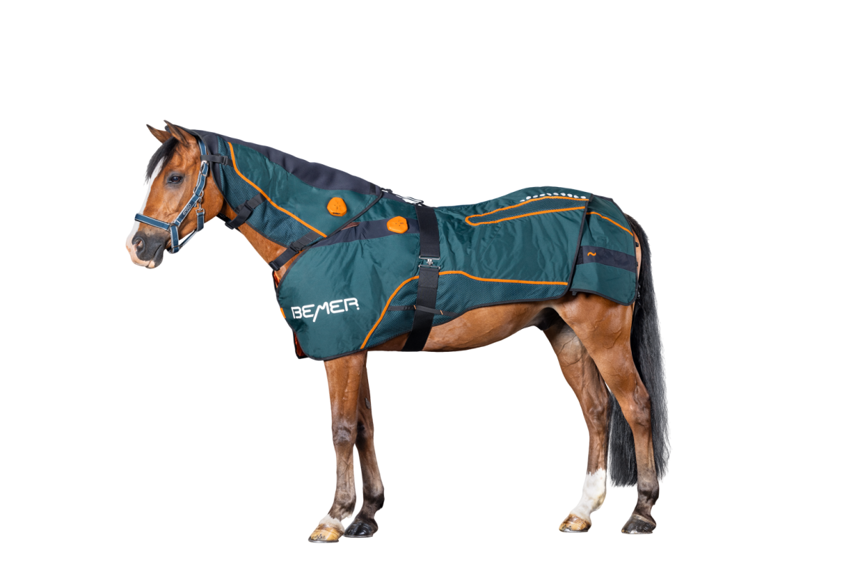 BEMER Perfect Horse Duo