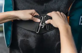 BEMER Perfect Horse Duo - Image 6